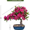 Briful Artificial Bougainvillea Bonsai Tree 18.5" Silk Bougainvillea Plant with Blue Pot Fake Bougainvillea Floral Tree for Home Office Room Desk Shelf Zen Décor(Hot Pink)