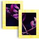 Handicrafts Home 4x6 Picture Frames Pack of 2  Classic Collection Handcrafted Photo Frames, Perfect for Wall & Tabletop Display, Ideal Home Decor Gift (Yellow)