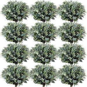 Janinka Mixed Eucalyptus Leaves Stems Bulk with White Seeds Artificial Silver Dollar Leaves Sprays Faux Oval for Wreath Garland Floral Bouquets Arrangement Wedding Greenery Decoration(60 Pcs)