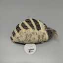 LEOSA Short Ombre Blonde Wig with Bangs for White Women Highlight Brown Pixie Cut Wig Synthetic Wavy Curly Light Blonde Mixed Brown Layered Natural Hair Fluffy Heat Resistant