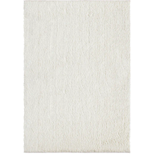 White Rug  22"x16"