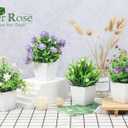 Der Rose 4 Pack Small Fake Plants Mini Artificial Faux Plants Indoor with Flowers Spring Decorations for Home Room Farmhouse Desk House Bathroom Decor