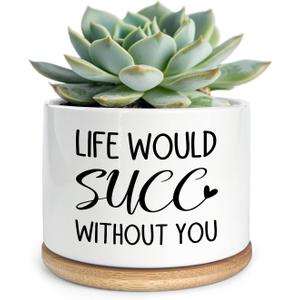 Funny Life Would SUCC Without You Ceramic Succulent Planter Cactus Pots, Office Windowsill Decor Indoor, Succulent Pots for Women Plant Lovers, 3.5 inch (Plant Not Included)