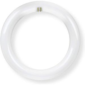 Feit Electric FC8/3CCT/LED Non Dimmable Indoor 8" LED Circline Light Bulb; Warm White, Cool White Or Daylight with A Standard Light Switch; 1400 Lumens, 15 Watt Input Power, 25000 Life Hours, 120V