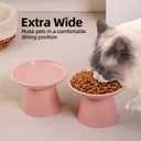6.2 Inch Extra Wide Elevated Ceramic Cat Bowls, Food and Water Bowl Set for Elder Big Cats Small Dogs, Raised Design for Pet Easy Eating, Protect Cat's Spine Set of 2(Pink)