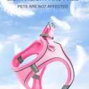 Soft Mesh Dog Harness and Leash Set,No Escape Puppy Harnesses for Training Walking， Reflective Adjustable Puppy Vest for Small Medium Dogs, Cats (Pink, XXXS)