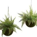 Nearly Natural Leather Fern with Mossy Hanging Basket (Indoor/Outdoor) (Set of 2)