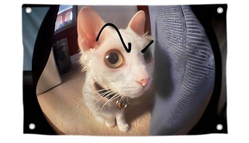 3x5 Feet Cat with Painted Eyebrows Tapestry Single Sided Flag with Four Brass Grommets - Polyester Funny Cats Outdoor or Indoor Flag - Funny Cats Poster in Fish Eye - Animals Tapestry For Classroom