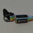 Premium LED Dog Collar for Night Walking - Light up Dog Collar Cycle 7 Solid Colors - Lighted Dog Collars USB C Rechargeable - Waterproof Glow in The Dark Dog Collars - Adjustable, Fashion, Safety(M) (Medium (14 " - 19 " ))