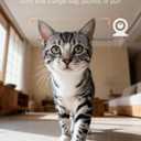 WOPET Automatic Cat Feeder with Camera for Two Cats, 6L Automatic Dog Feeder with HD Video and Night Vision, 5G/2.4G WiFi Pet Feeder for Cats & Dogs, SD Card Storage & 2-Way Audio