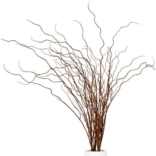 Artificial Plants Faux Greenery Eucalyptus Stems, Faux Branches for Vase Filler, Artificial Ficus Twig Branches Stems for Shop Garden Office Home Décor (6, Stems02)