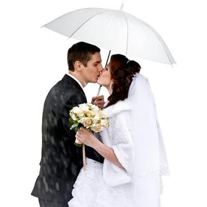 Saintrygo 20 Pack Clear Umbrellas Bulk,Windproof Waterproof Stick Wedding Umbrellas with J Hook Handle for Outdoor Events