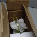 Oairse White Orchids Artificial Flowers Faux Orchid Arrangement with Clear Glass Vase Set of 2 Real Touch Phalaenopsis Orchid Flowers Orchid Centerpiece for Dining Room Table