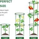 36Packs Plant Support Stake Half Round Plant Support for Indoor Plants, Stackable 3 Tier Garden Flower Support, Plant Rings for Tomato,Monstera, Peony, Hydrangea, Climbing Plants