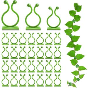 EWPJDK Wall Clips for Climbing Plants 180 PCS, Plant Clips for Climbing Plants, Wall Plant Holder for Vines Plant Clips for Indoor Plants, Vine Wall Clips Plant Hooks for Vines (Green)