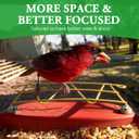 Perch Extender for Bird Buddy Smart Bird Feeders, Durable BirdBuddy Add-on Accessory in Metal