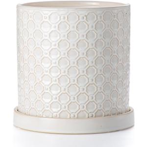 8 Inch Plant Pot: Ceramic Planter with Drainage Hole & Saucer Indoor Outdoor Plants - Cylinder Round Flower Pot for Home Office - Modern Decorative - Medium White