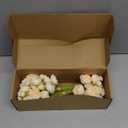 Floroom Ranunculus Artificial Flowers 18 Pcs Champagne Faux Silk Mini Ranunculus Bulk Fake Wedding Filler Flowers for DIY Cream Bouquets, Centerpieces, Bridal Shower Decorations & Arrangements