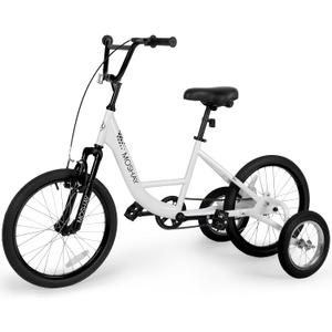 MOSHAY 20 inch Adaptive Training Wheel Bicycle