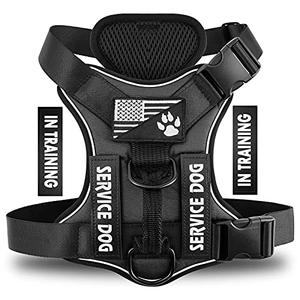 Demigreat Service Dog Harness, Reflective Dog Vest Harness with 5 PCS Patches, Adjustable Soft Oxford Pet Harness, Inner Layer Mesh, Easy to Control for Dogs, Large