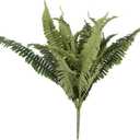 Ashland Boston Fern Bush Fern Collection