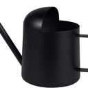 IMEEA Mini Watering Can for Indoor Plants Stainless Steel Small Watering Can 11oz/300ml