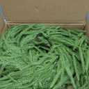 XmasExp Norfolk Pine Garland 9FT Real Touch Realistic Artificial Christmas Garland Decorations for Mantle Windows Indoor Outdoor