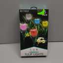 Solar Powered Tulip Lights (5 pack)