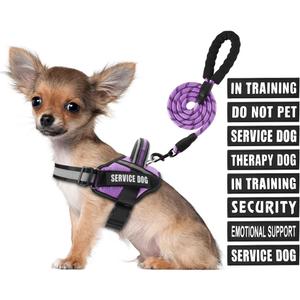 Service Dog Vest Harness and Leash Set, Animire in Training Dog Harness with 10 Dog Patches, Reflective Dog Leash with Soft Padded Handle for Small, Medium, Large, and Extra-Large Dogs (Purple, L)