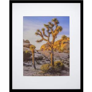 Art Emotion Black 16x20 Picture Frame – Fits 11x14 Photos with Mat or 16x20 Without Mat, Wall Hanging Photo Frame, 1-Pack
