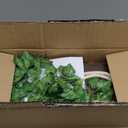 Hanging Shelves for Wall with Vine Lights, 3 Tier Rope Wall Hanging Plant Shelf, Boho Wall Decor Aesthetic for Succulents, Bedroom, Living Room, Bathroom (Rustic Brown) (Green Leaf)