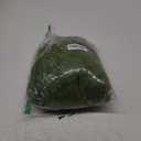 Aspamms Fake Green Moss for Potted Plants Indoor,10.6oz Artificial Moss for Crafts, Faux Moss Decor for Fairy Garden, DIY Decorative, Model Making, Walls, Glass Containers, Home