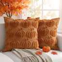 2 x Thmyo Fall Decorative Throw Pillow Covers 18x18 inch Set of 2, Caramel Pumpkin Cushion Cases for Autumn, Soft Faux Fur DIY Pillowcases for Sofa Couch Bedroom Thanksgiving Winter Home Decor Gift