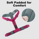 Plutus Pet No Pull Dog Harness, Adjustable Nylon Harness with Soft Padding, Reflective and Heavy Duty Dog Harness for Small, Medium, Large Dogs(Hot Pink, L)