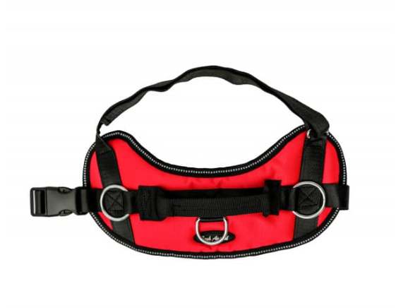 Bark Appeal No Pull Dog Harness Red, Small