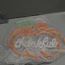 Thanksgiving Pumpkin Neon Sign Dimmable Thanksgiving Neon Sign for Wall Decor Fall Neon Light Up Sign for Door Thankful LED Sign Decoration Wall Art Window Home Party