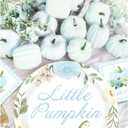 Aukolass Pumpkin Party Supplies Tableware Set - Fall Theme Party Decorations Including Plates, Napkins and Cups for Pumpkin Birthday and Baby Shower Party, Serves 24 Guests (blue)