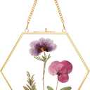 Glass Pressed Flower Frame Handmade, Double Glass, Brass Floating Picture Frames, Wall Hanging Round Picture, for Dried Flowers Home Wall Decor, Hexagon, Gold (FRAME ONLY) (6L" x 7.1W")