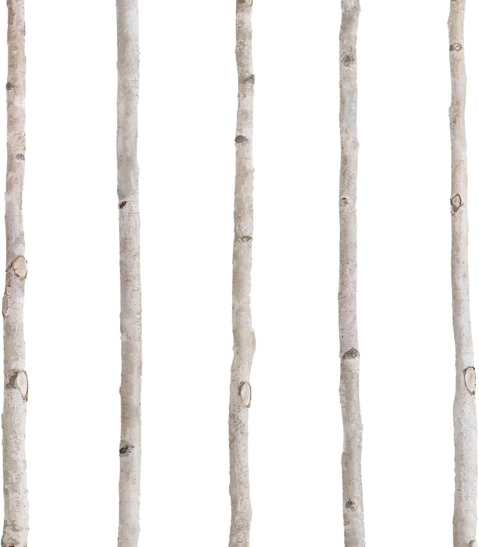5 Pcs White Birch Poles 4 ft 1.5-2.5" Diameter Natural Wood Sticks