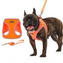 Rttochfy Small Dog Harness, Soft and Reflective Puppy Harness, Dog Harness and Leash Set for Small Size Dogs Training, Walking (Orange M) (M (Chest:15.5"-17.5"))