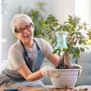 Norme 6 Pcs Plant Drip Irrigation Set 500 ml Drip Water Bag Plant Waterer with Support Rod Stakes Self Watering Spikes Automatic Watering System for Potted Indoor Outdoor