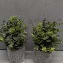 2 Pack Small Fake Plants Eucalyptus Potted Artificial Plants for Shelf Desk Home Bathroom Farmhouse Room Coffee Table Decor (Sage Green)