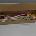 TooGet 40 Pcs Natural Dried Daisies, Dried Daisy Flowers Bouquet with Stem for Wedding Home Office Party DIY Flower Arrangement