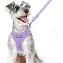 rabbitgoo Dog Harness Small Medium Sized and Leash Set, Step in Soft Light Puppy Vest, Breathable Mesh Pet Harness, Reflective for Safe Easy Walking, Light Purple XL