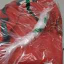 HOLDN STORAGE Christmas Ornament Storage Box with Dividers - Fits 48-3 Ornaments, 2 Removable Trays, Durable & Space-Saving, Clear Top Lid, Fits Underbed, Red