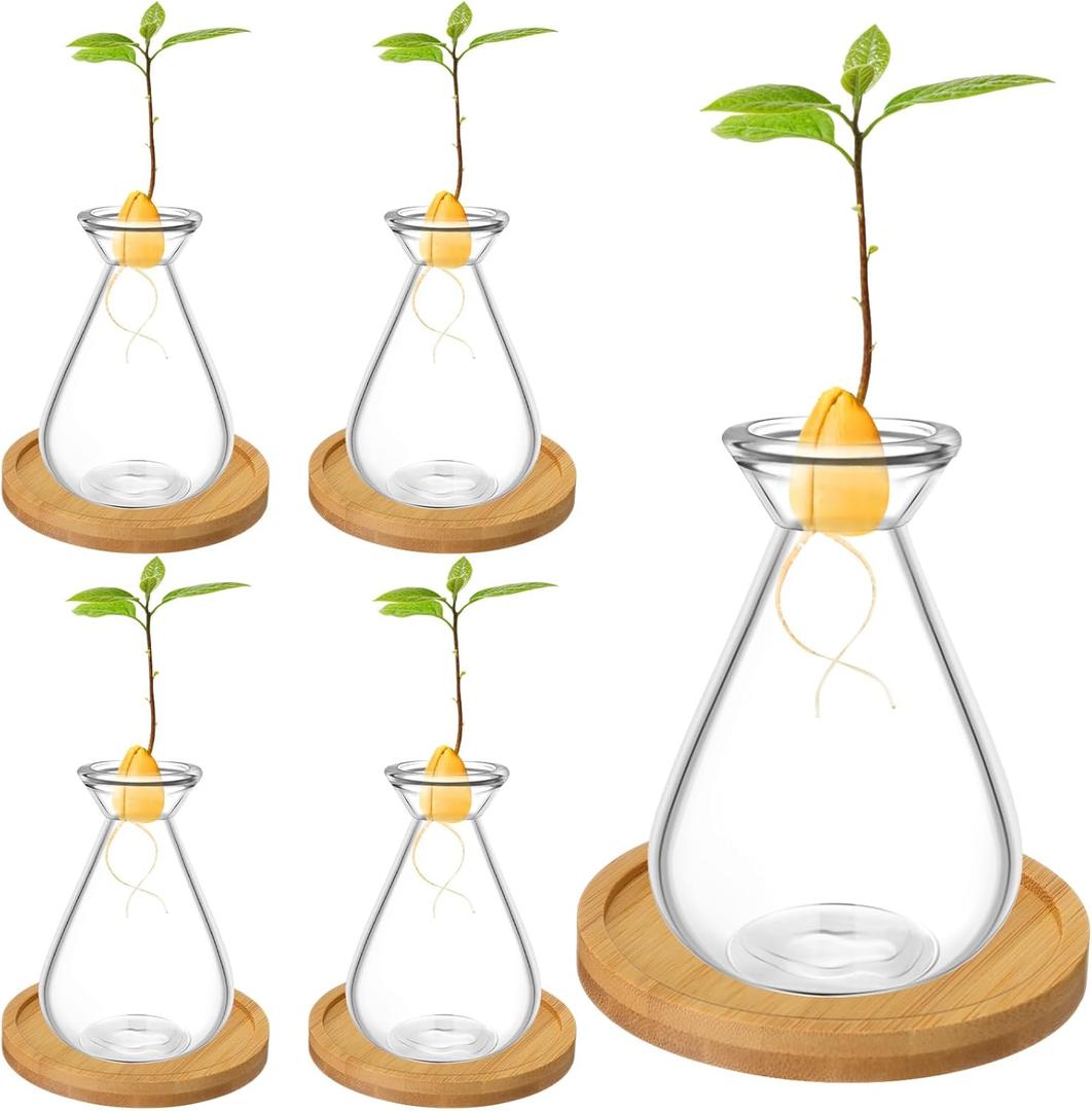 4 Pcs Small Avocado Seed Starter Glass with Bamboo Base, Planter Growing Glass Small Planter Pot Starter Vases for Avocado Acorn Garlic Vines Root Seeds
