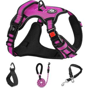 NESTROAD No Pull Dog Harness,Adjustable Oxford Dog Vest Harness with Leash,Reflective No-Choke Pet Harness with Easy Control Soft Handle for Small Dogs(Small,Fuchsia Pink) (Sneck 11-15" chest 15-21") NESTROAD No Pull Dog Harness,Adjustable Oxford Dog Vest Harness with Leash,Reflective No-Choke Pet Harness with Easy Control Soft Handle for Small Dogs(Small,Fuchsia Pink) (Sneck 11-15" chest 15-21")