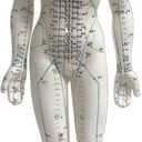 Female Acupuncture Model 19" with Chinese and English Points