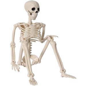 36" Skeleton Halloween Decor, 3FT Realistic Full Body Movable Posable Joints Skeleton, Creepy Halloween Plastic Human Bones for Party Decor Lawn Haunted House Graveyard
