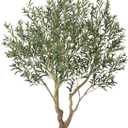 Olive Tree Artificial Indoor 7ft - UV Resistant Large Fake Plants - Realistic Faux Olive Tree in Pot - Tall Artificial Plants Outdoor for Home, Patio, Living Room, Office Decor,VN138 (Green)
